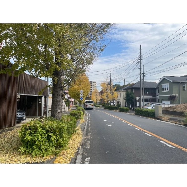横浜市都筑区早渕1丁目 前面道路