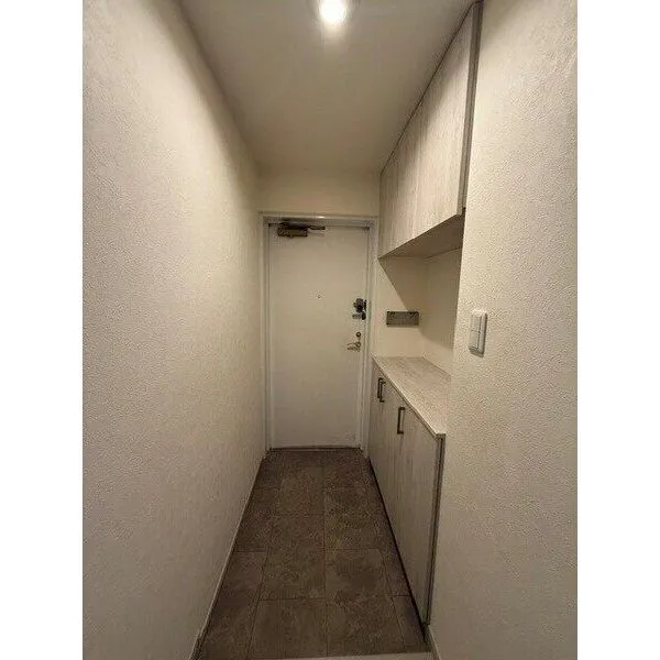 レクセルマンション浦和岸町 下足入れ・収納がありますので広くご使用いただけます
