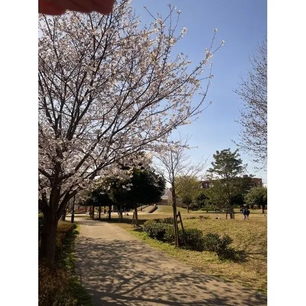 さいたま市北区宮原町2丁目 東宮原ぼうさい広場(公園)まで約300m(徒歩4分)